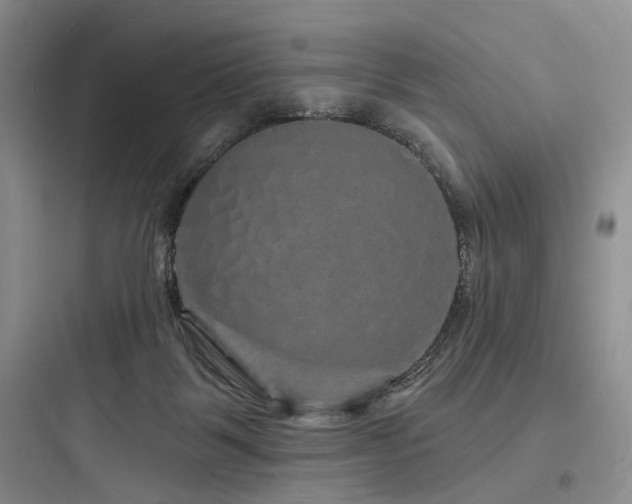 X0000097990123200803241350