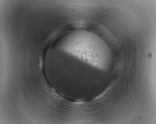X0000097990124200803241350