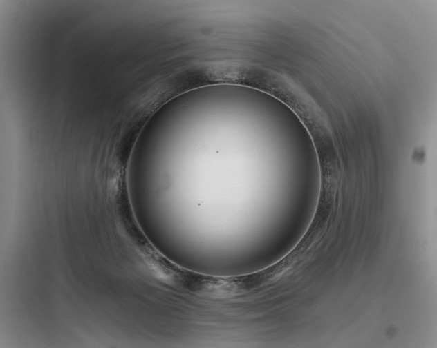 X0000097990125200803241350
