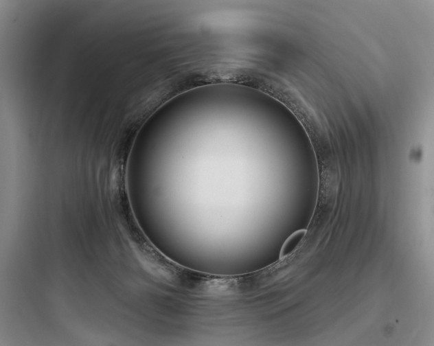 X0000097990126200803241350