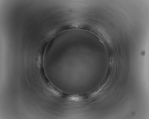 X0000097990127200803241350