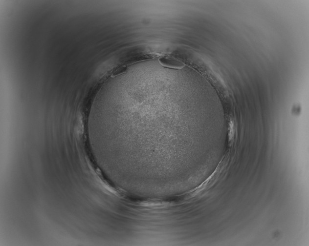 X0000097990128200803241350