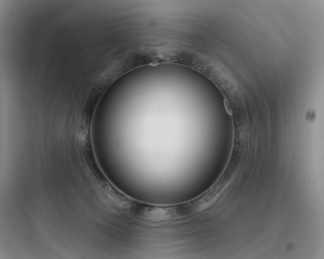 X0000097990129200803241350