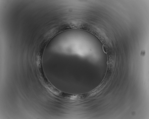 X0000097990130200803241350