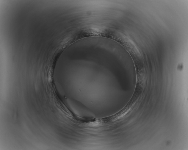 X0000097990131200803241350