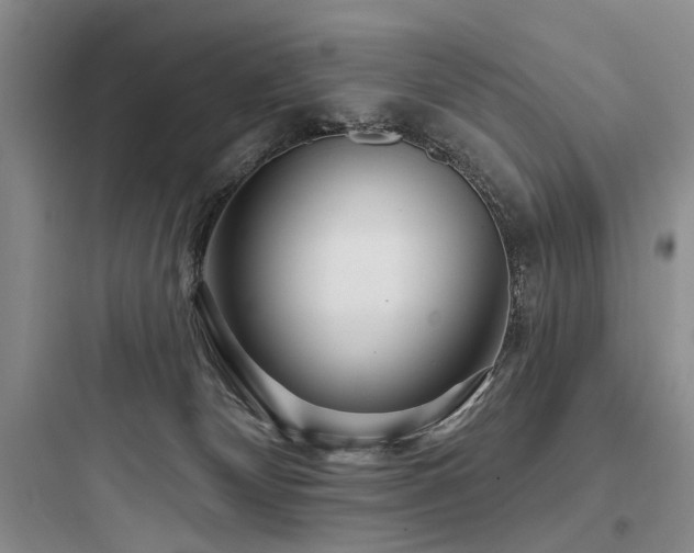 X0000097990132200803241350