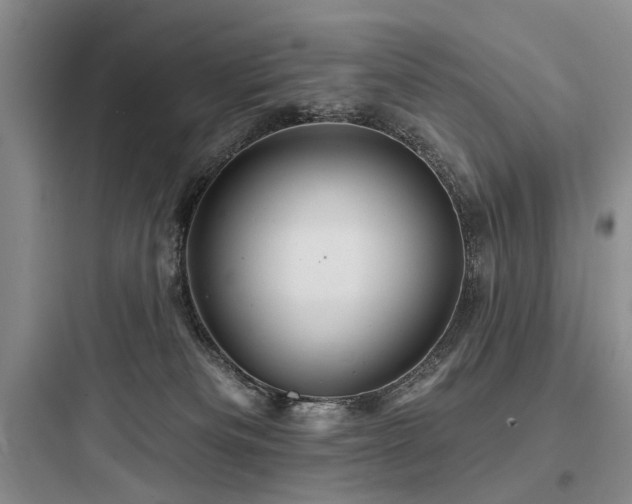 X0000097990133200803241350