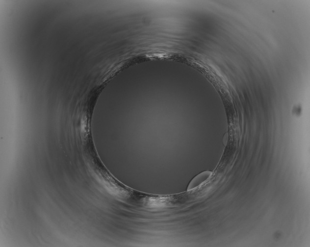 X0000097990134200803241350