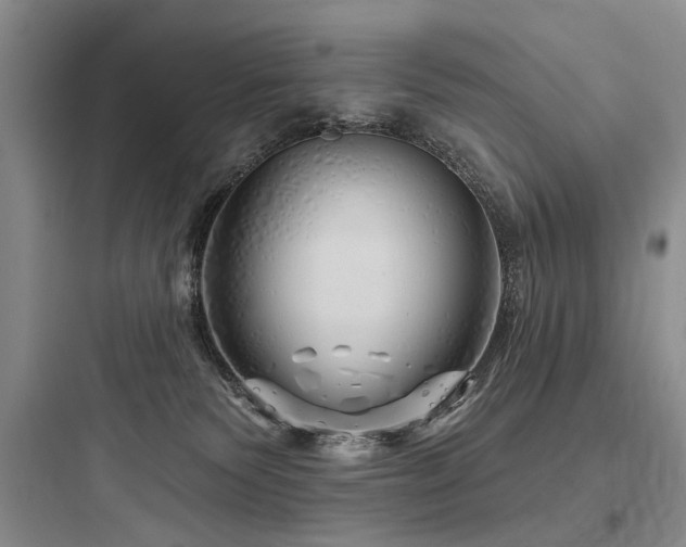 X0000097990135200803241350