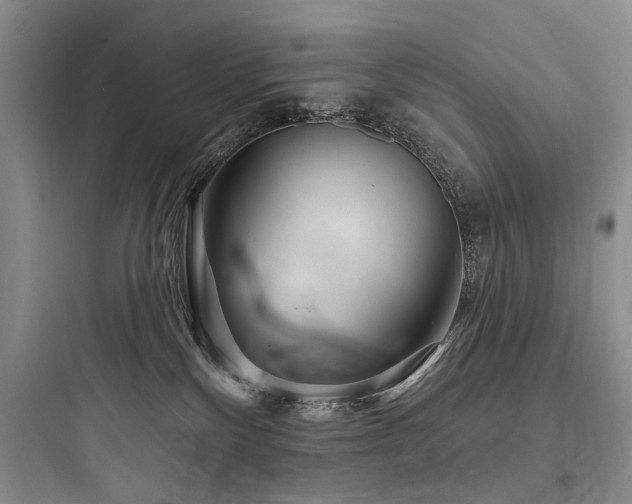 X0000097990136200803241350