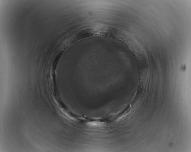 X0000097990137200803241350