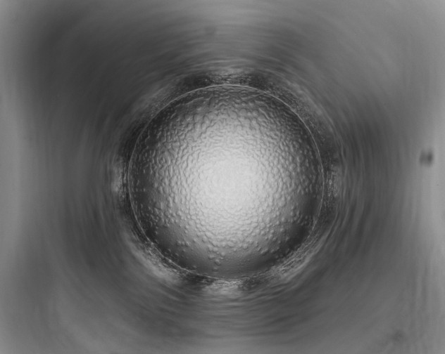 X0000097990138200803241350