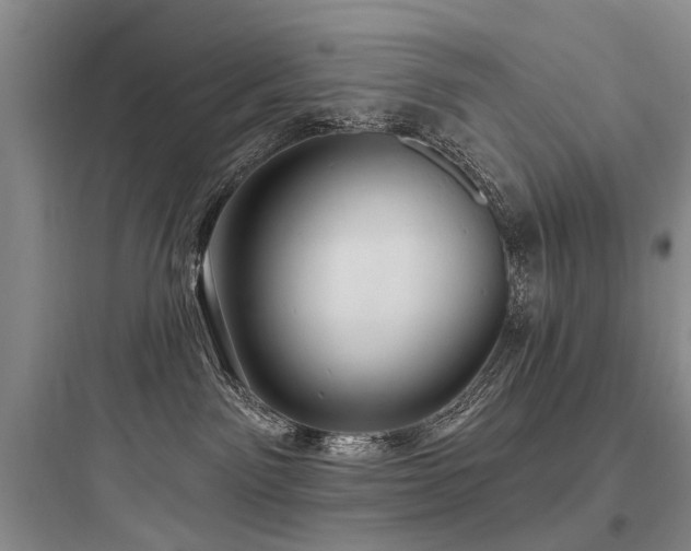 X0000097990141200803241350