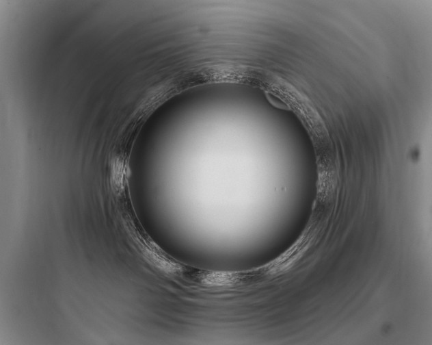 X0000097990142200803241350