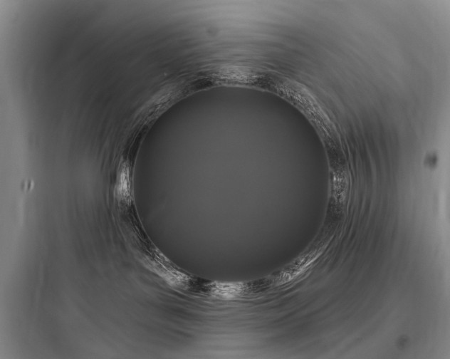 X0000097990143200803241350
