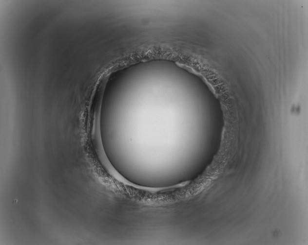 X0000097990144200803241350