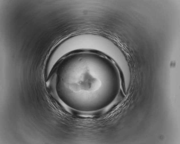 X0000097990146200803241349