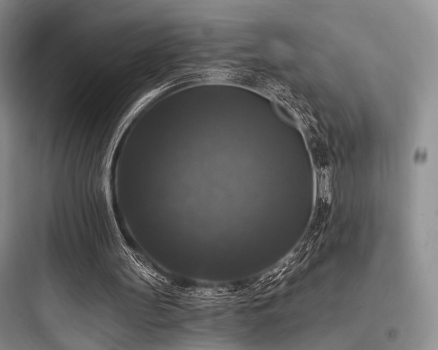 X0000097990147200803241349