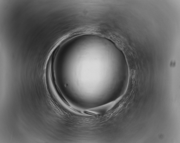 X0000097990148200803241349