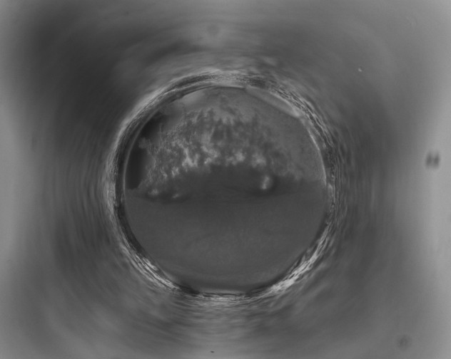 X0000097990149200803241349