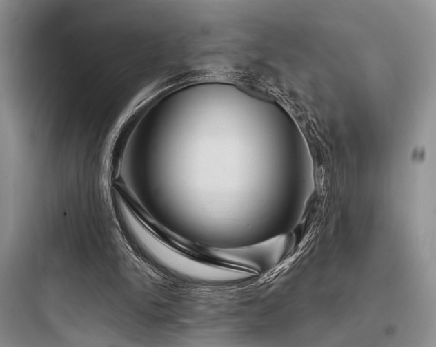X0000097990150200803241349