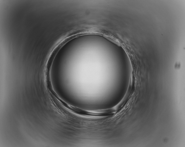 X0000097990152200803241349