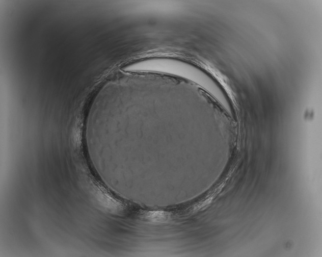 X0000097990153200803241349
