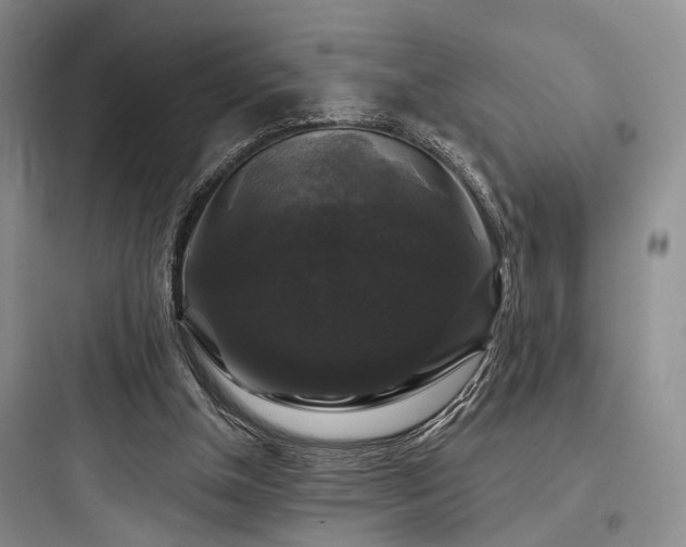 X0000097990154200803241349
