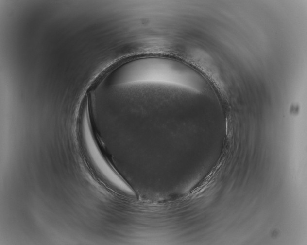 X0000097990156200803241349