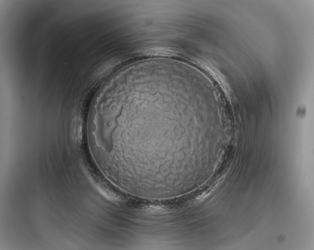 X0000097990157200803241349