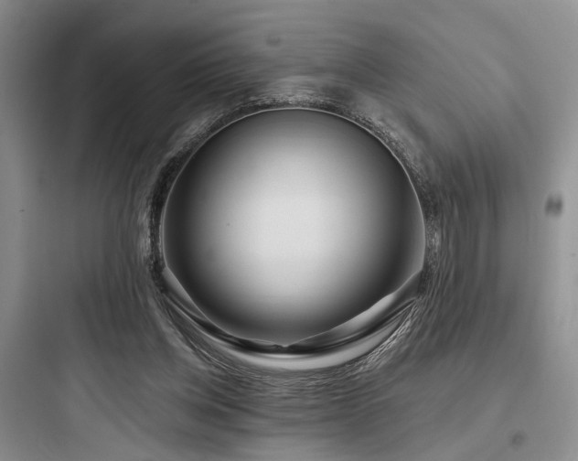 X0000097990158200803241349