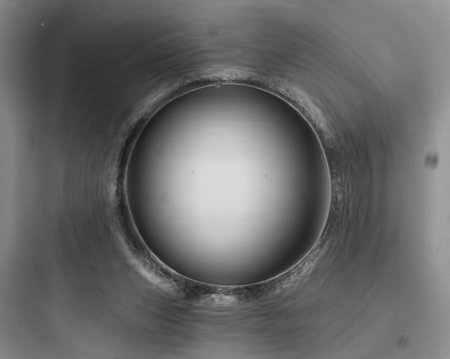 X0000097990159200803241349