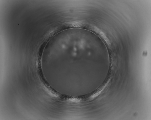 X0000097990161200803241349