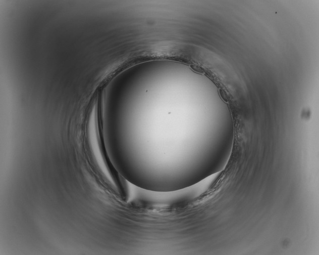 X0000097990164200803241349