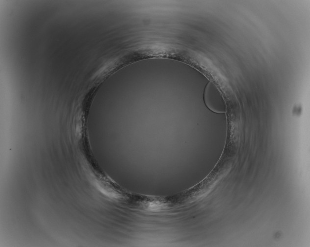 X0000097990165200803241349