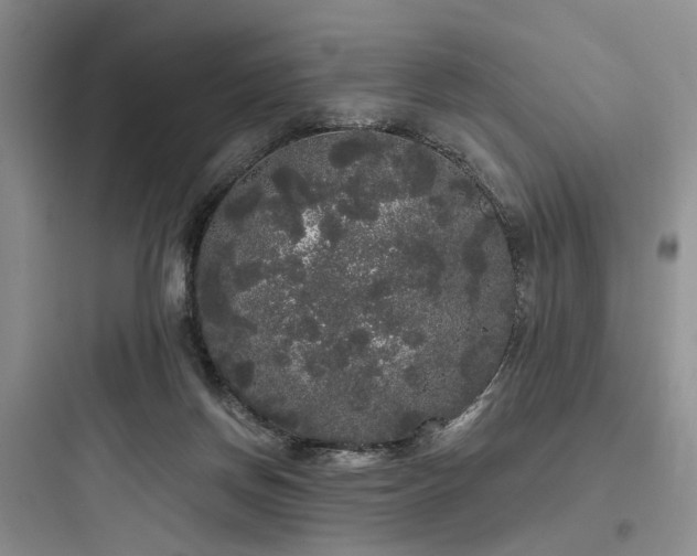 X0000097990166200803241349