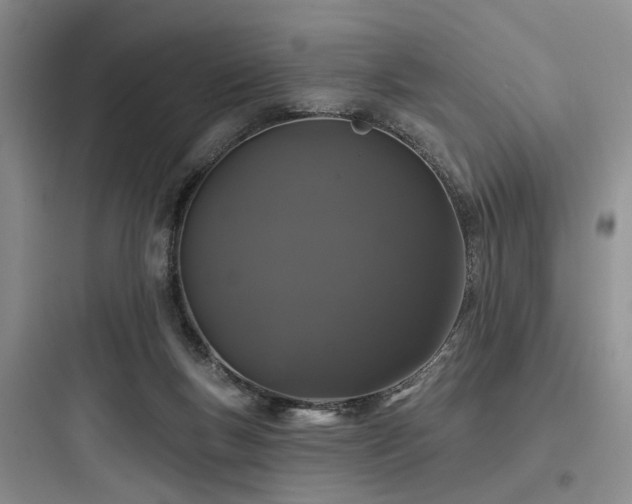 X0000097990167200803241349
