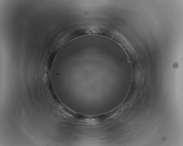 X0000097990169200803241349