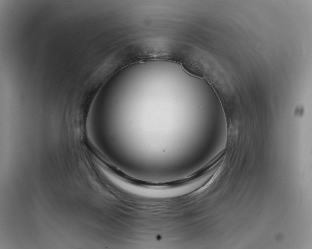 X0000097990170200803241349