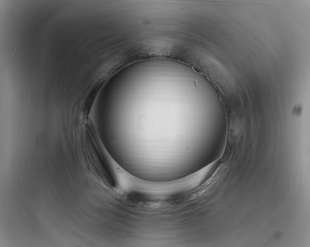 X0000097990172200803241349
