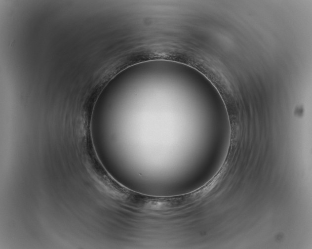 X0000097990174200803241349