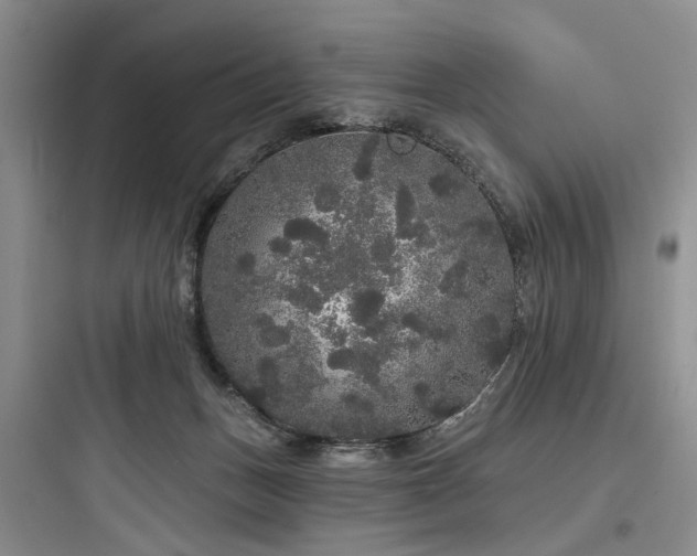 X0000097990175200803241349