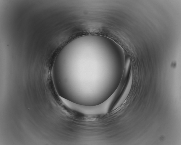 X0000097990176200803241349