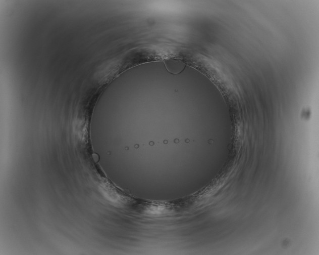 X0000097990177200803241349