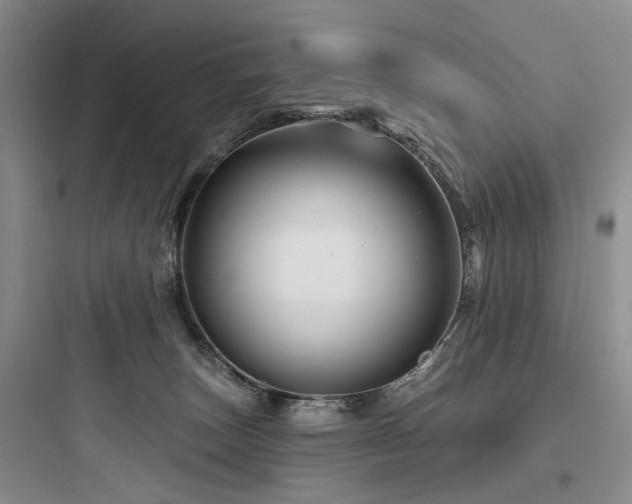 X0000097990179200803241349