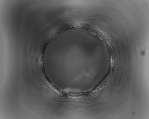 X0000097990181200803241349