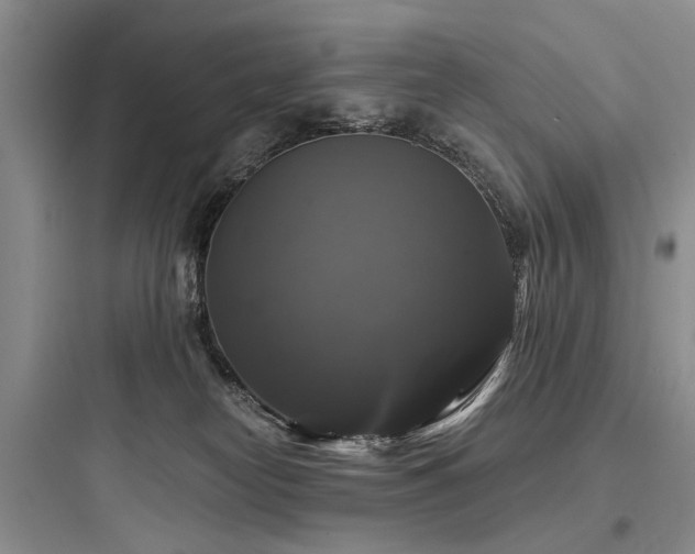X0000097990182200803241349