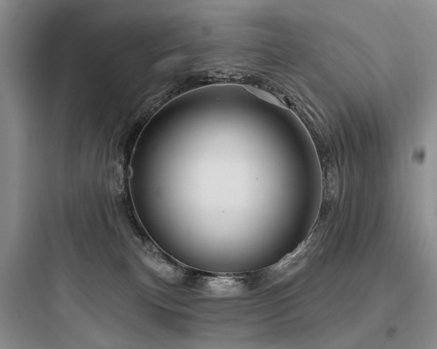 X0000097990183200803241349