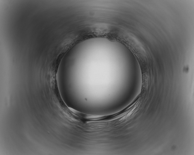 X0000097990184200803241349