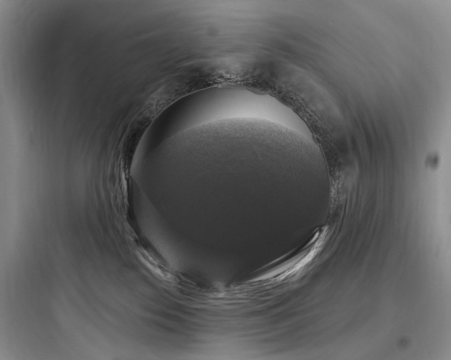 X0000097990186200803241350